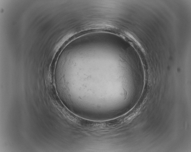 X0000067520883200604071318