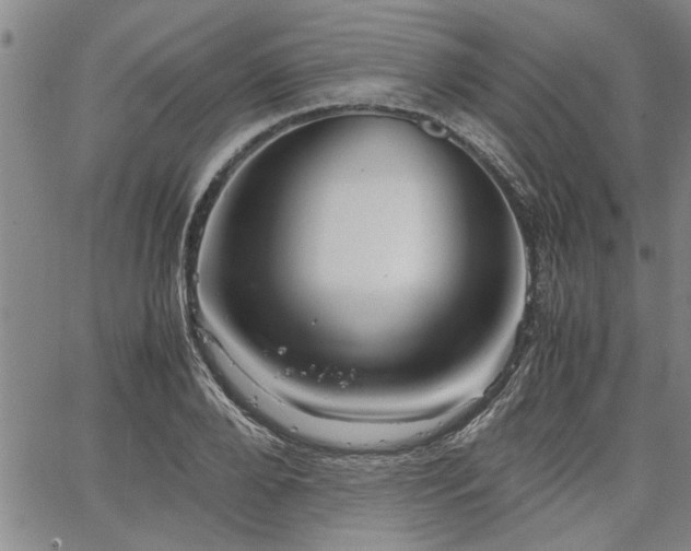 X0000067520888200604071318