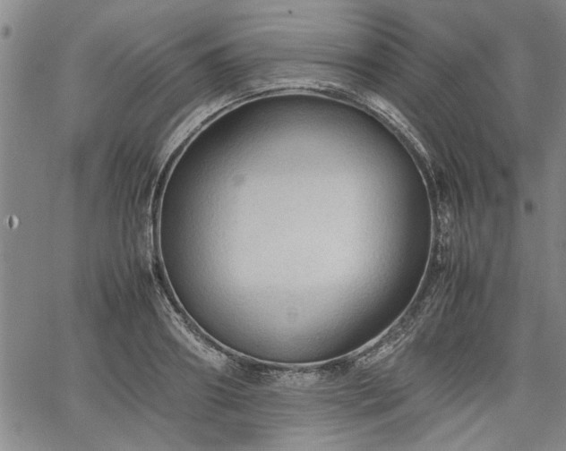 X0000067520890200604071318