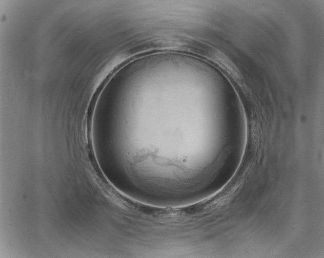 X0000067520891200604071318