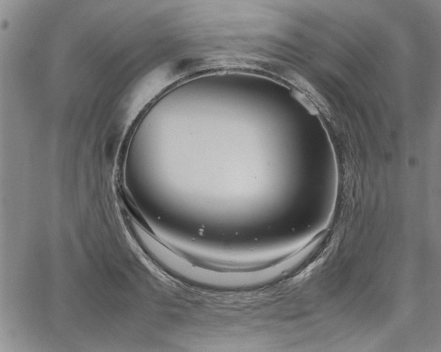 X0000067520893200604071318