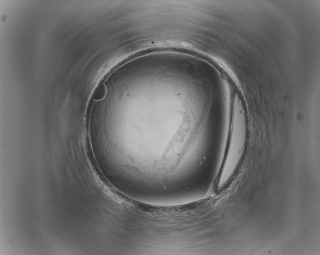 X0000067520895200604071318