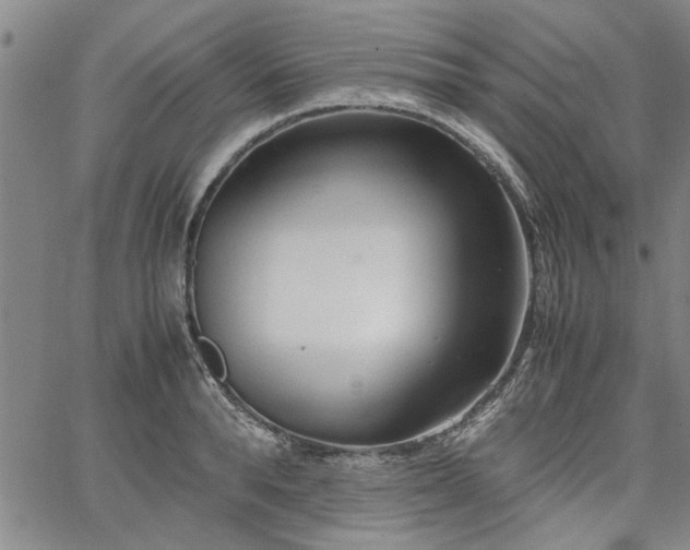 X0000067520896200604071318