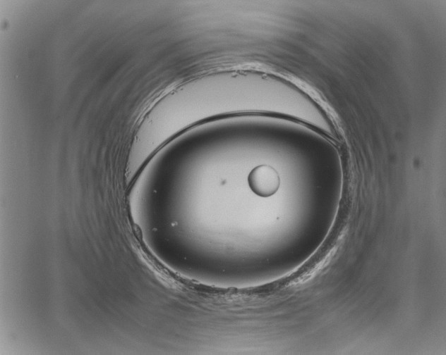 X0000067520897200604071318