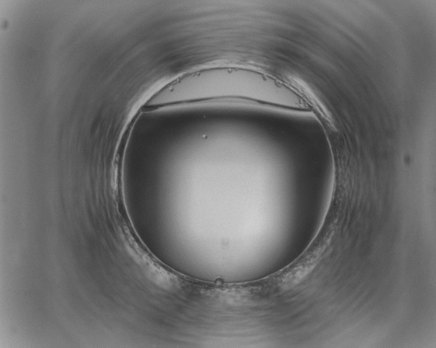 X0000067520900200604071318