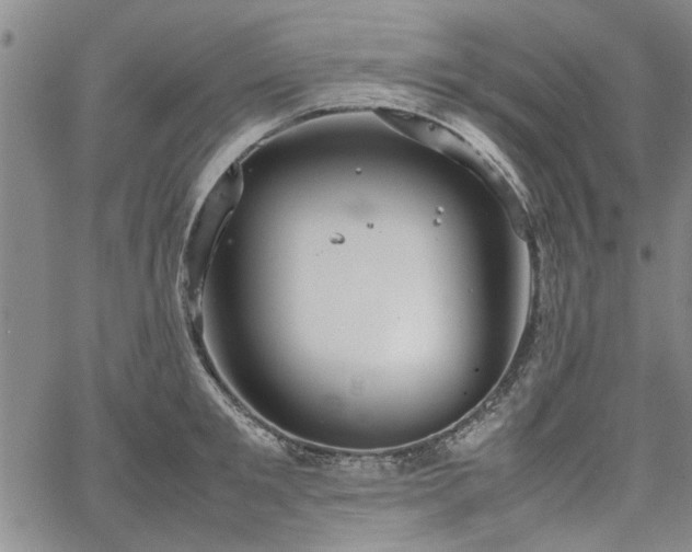 X0000067520901200604071318