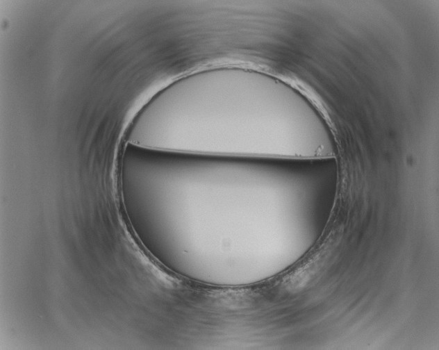 X0000067520902200604071318