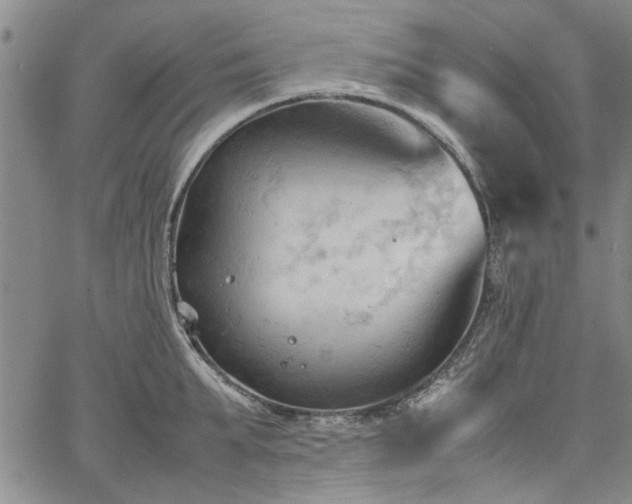 X0000067520903200604071318