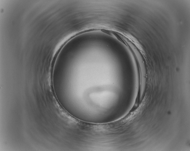 X0000067520904200604071318