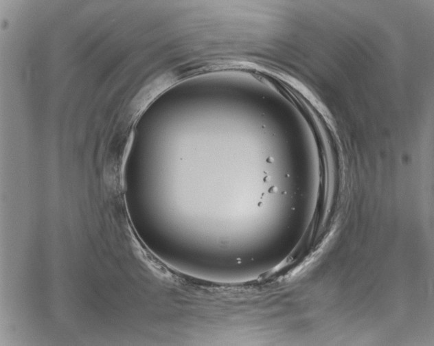 X0000067520905200604071318