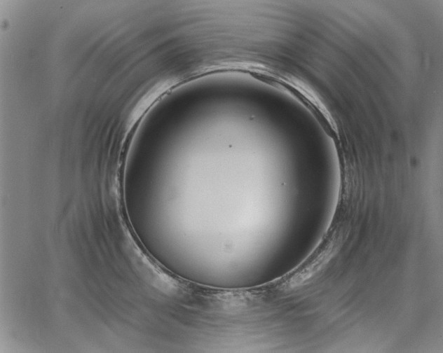 X0000067520906200604071318