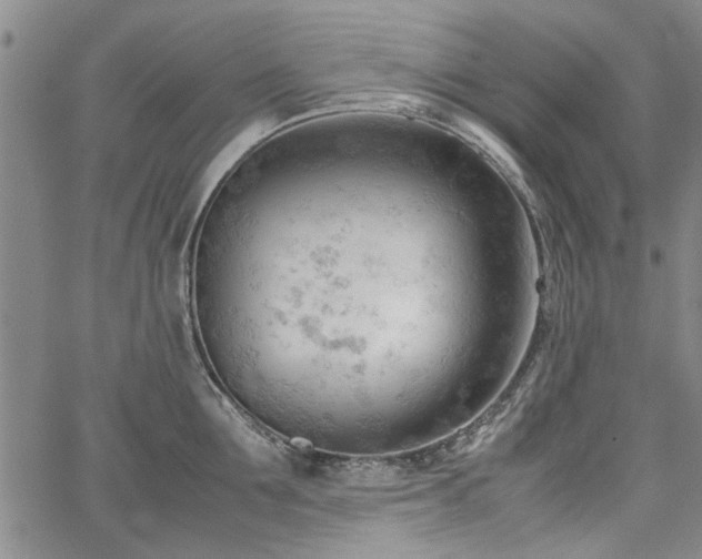 X0000067520907200604071318