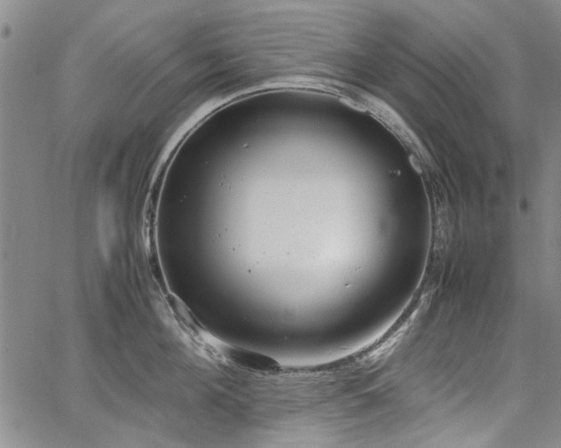 X0000067520908200604071318