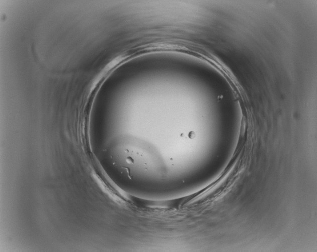 X0000067520909200604071318