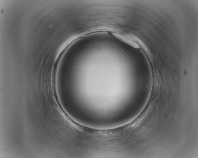 X0000067520910200604071318