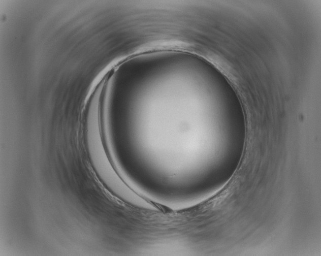 X0000067520912200604071318