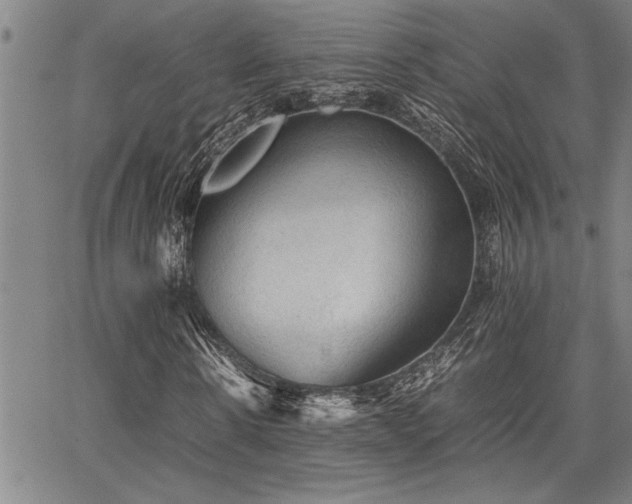 X0000067520914200604071317