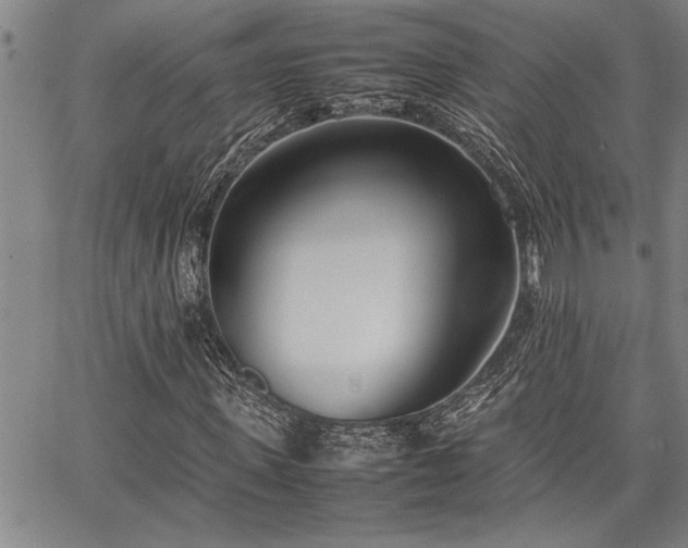 X0000067520915200604071317