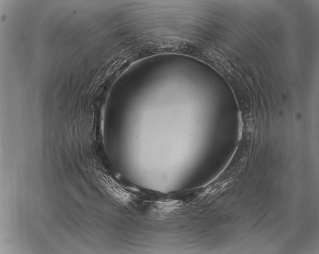 X0000067520916200604071317