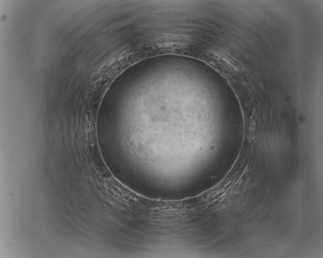 X0000067520917200604071317