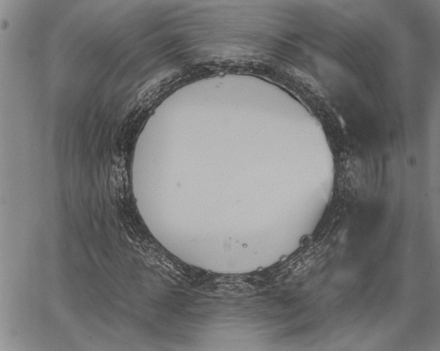 X0000067520918200604071317