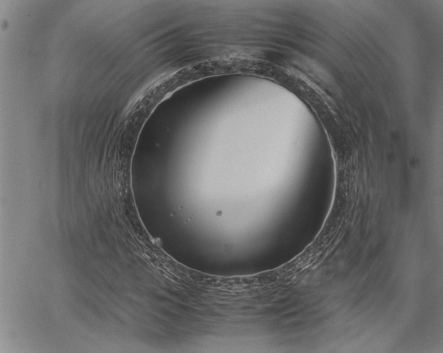 X0000067520919200604071317