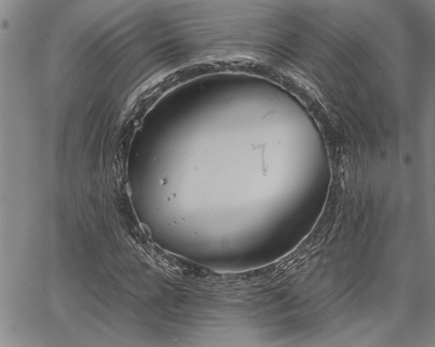 X0000067520920200604071317