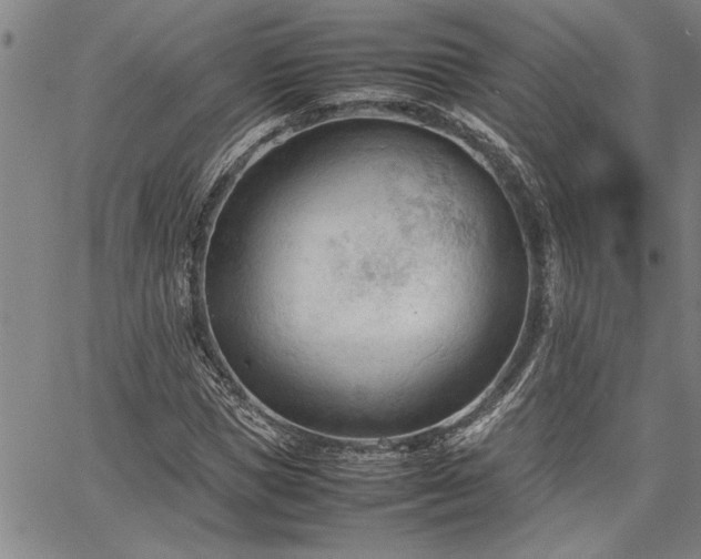 X0000067520921200604071317