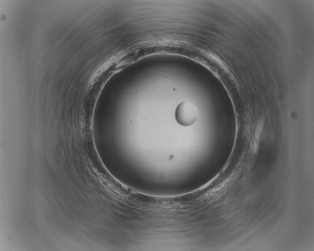 X0000067520922200604071317