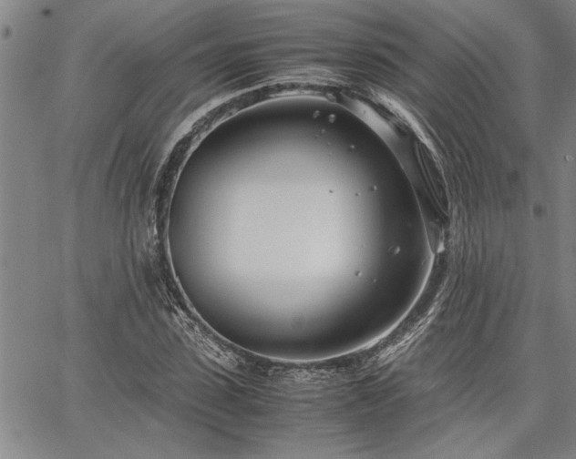 X0000067520923200604071317