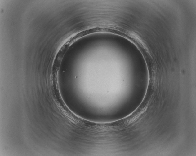 X0000067520924200604071317