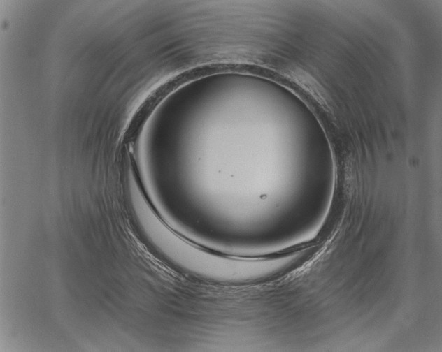 X0000067520926200604071317