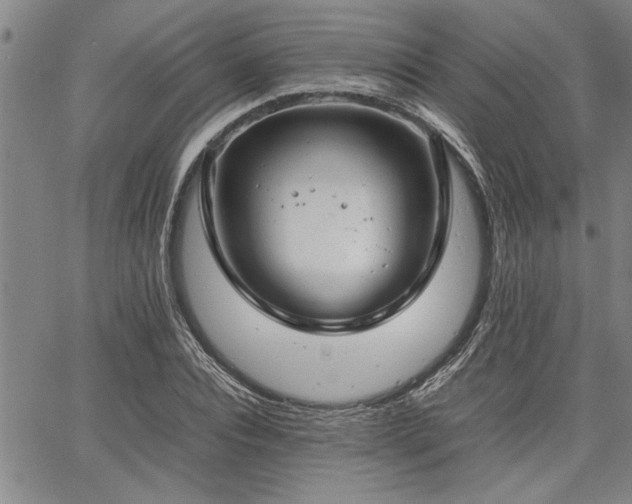 X0000067520928200604071317