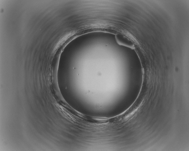 X0000067520930200604071317