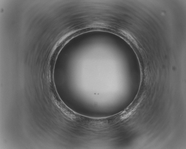 X0000067520931200604071317