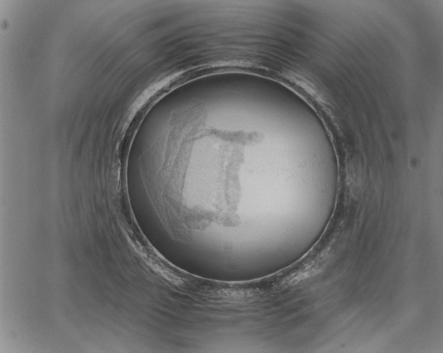 X0000067520933200604071318