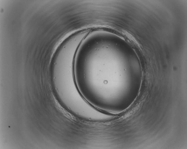 X0000067520934200604071318