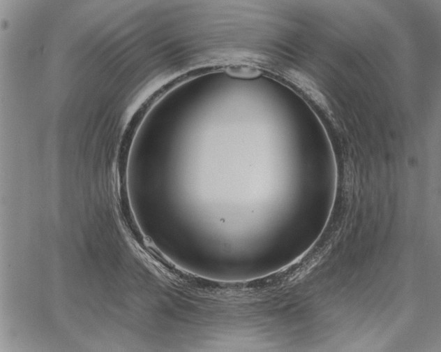 X0000067520936200604071318