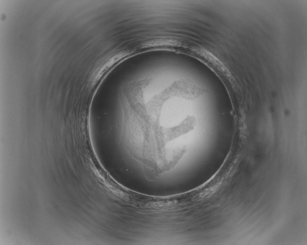 X0000067520937200604071318