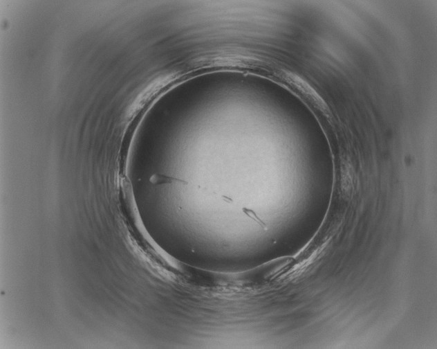 X0000067520938200604071318