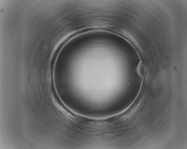 X0000067520939200604071318