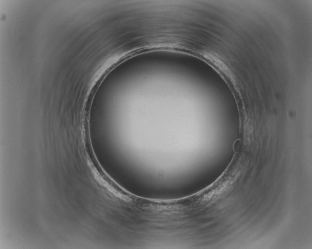 X0000067520941200604071318