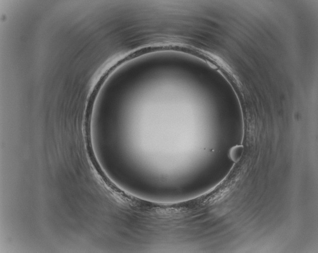 X0000067520943200604071318