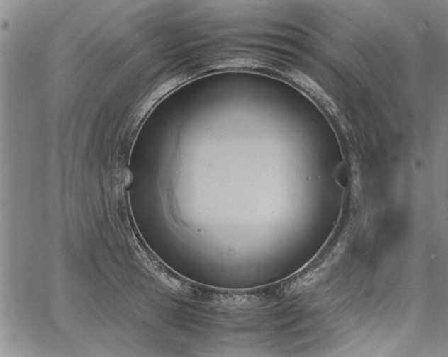 X0000067520945200604071318