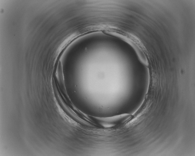 X0000067520946200604071318