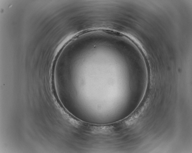 X0000067520949200604071318