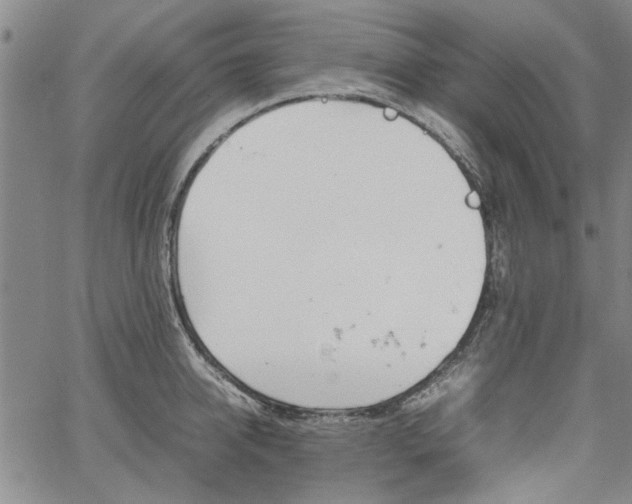 X0000067520950200604071318