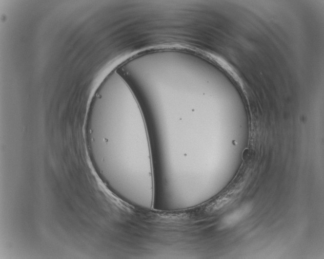 X0000067520951200604071318