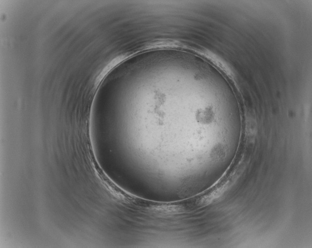 X0000067520953200604071318