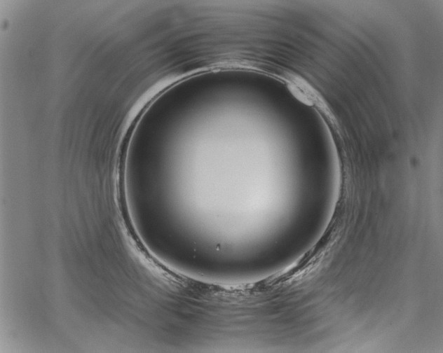 X0000067520955200604071318